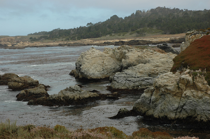 Point Lobos 061.jpg